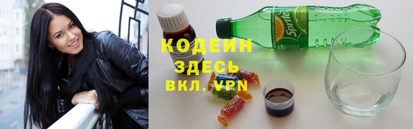 крисы Абаза
