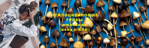 соль курить ск Абинск