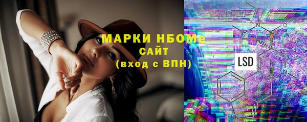 крисы Абаза