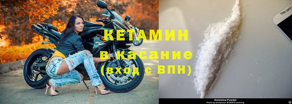 крисы Абаза